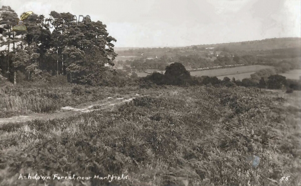 Image of Hartfield - Ashdown Forest