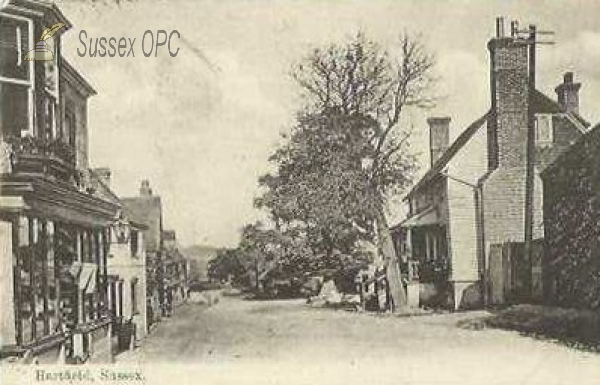 Hartfield - High Street