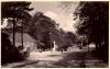 Thumbnail of an image