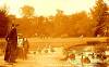 Thumbnail of an image