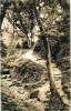 Thumbnail of an image