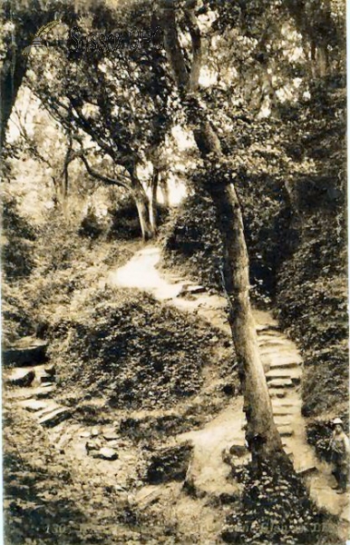 Image of Hastings - Ecclesbourne Glen