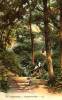 Thumbnail of an image
