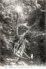 Thumbnail of an image