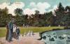 Thumbnail of an image