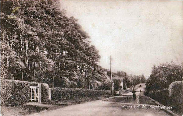 Image of Heathfield - Mutton Hall Hill