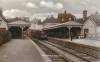 Thumbnail of an image
