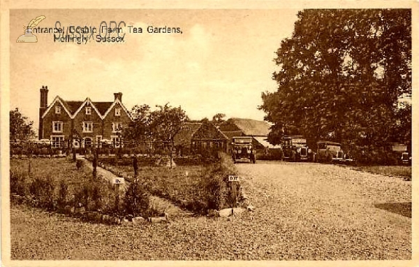 Hellingly - Boship Farm Tea Gardens