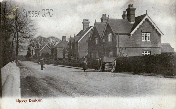 Image of Upper Dicker - The Street