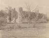 Thumbnail of an image