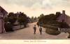 Thumbnail of an image