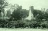 Thumbnail of an image