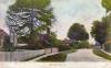 Thumbnail of an image