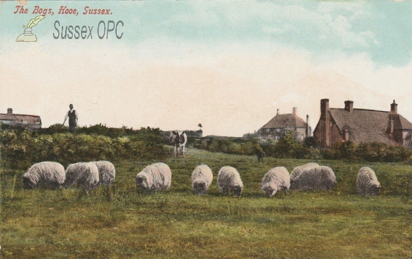 Image of Hooe - The Bogs