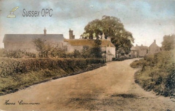 Image of Hooe - Common