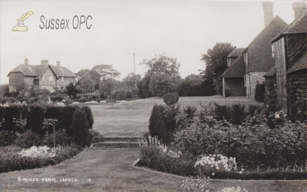 Image of Isfield - Birches Farm