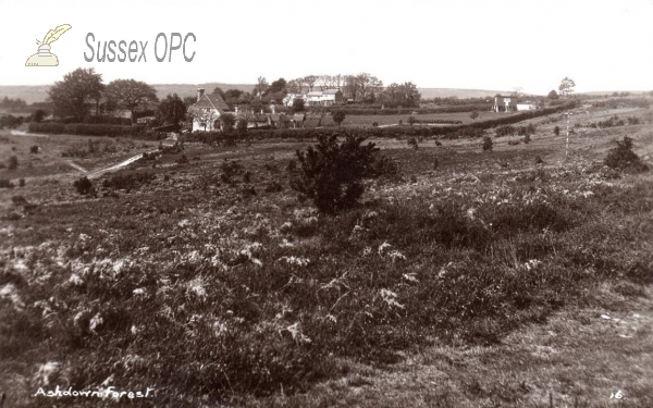 Image of Nutley - Ashdown Forest