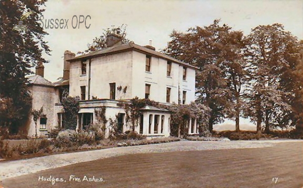 Image of Five Ashes - Hodges