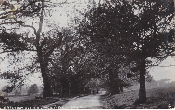 Image of Mountfield - Mountfield Park (Chestnut Avenue)