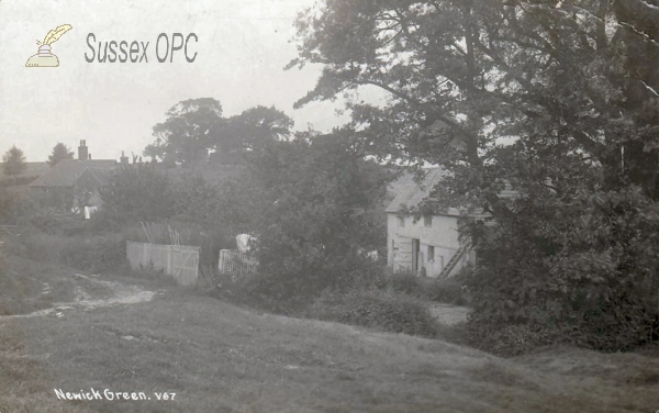 Image of Newick - Green