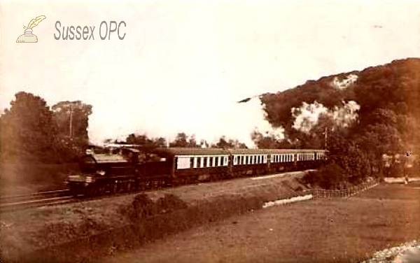 Image of Patcham - The Up Southern Belle