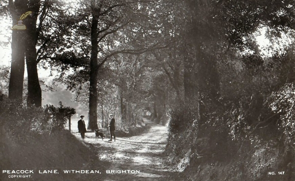 Image of Withdean - Peacock Lane