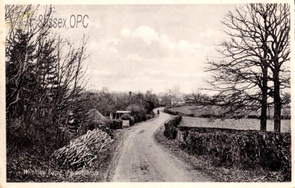 Peasmarsh - Wintons Lane