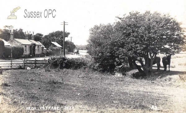 Image of Pett Level - Cecil Cottage