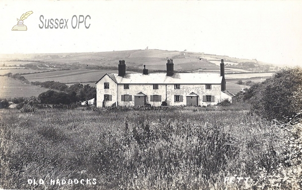 Image of Pett - Old Haddocks