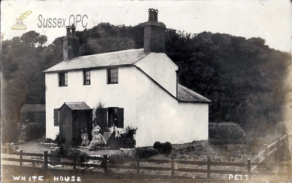 Image of Pett - White House