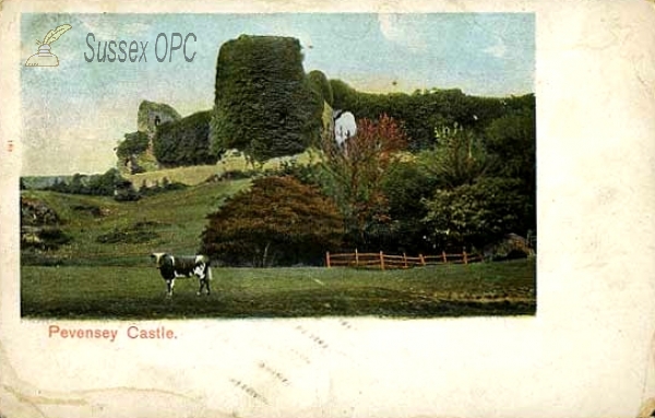 Image of Pevensey - The Castle