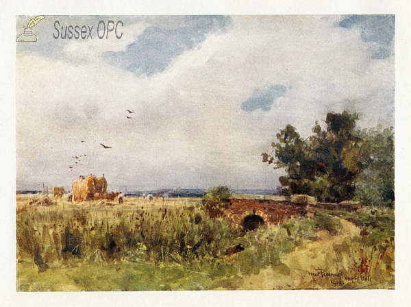 Image of Pevensey - Harvesting