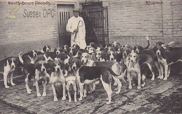 Image of Ringmer - Hounds