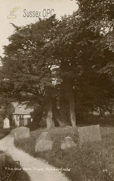 Rotherfield - Old Yew Tree & Grave Stones