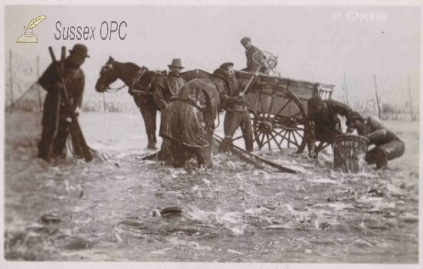 Image of Camber - Keddlenet Fishing