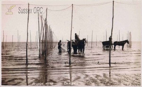 Image of Camber - Keddlenet Fishing