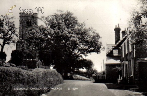 Image of Salehurst - St Mary's Church