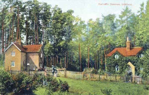 Image of Uckfield - Budlett's Common
