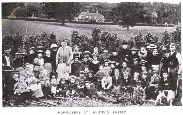 Image of Uckfield - Hop Pickers