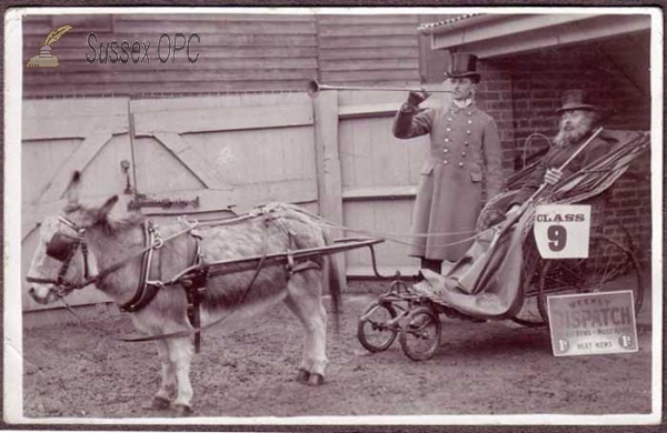 Image of Uckfield - Donkey Invalid Carriage