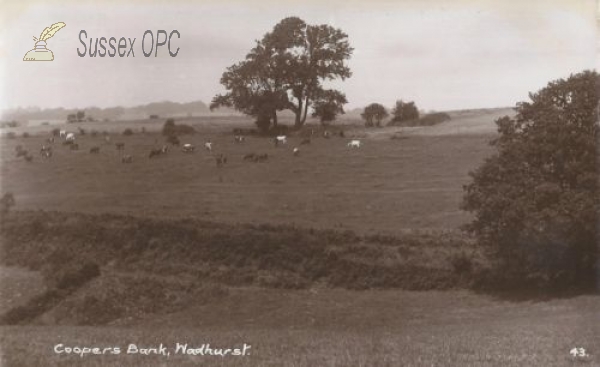 Image of Wadhurst - Coopers Bank
