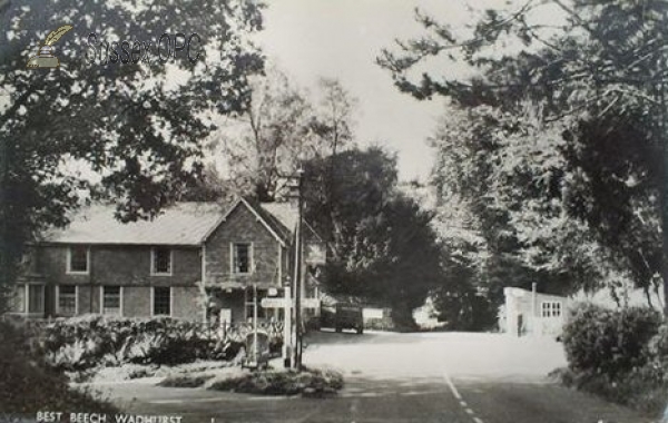 Image of Wadhurst - Best Beech