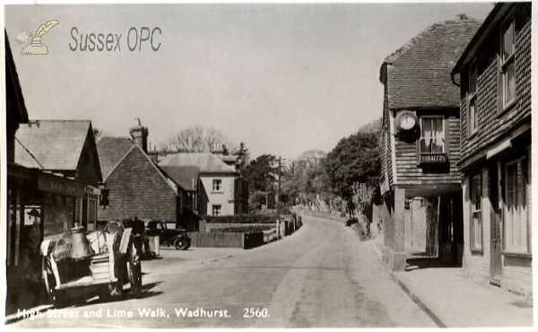 Image of Wadhurst - Lime Walk