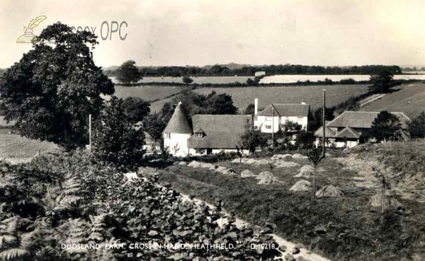 Cross in Hand - Dudsland Farm