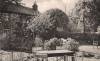 Thumbnail of an image
