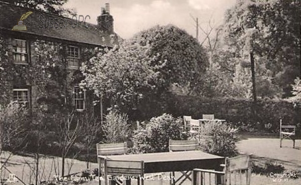 Image of West Dean - The Farm Tea Gardens
