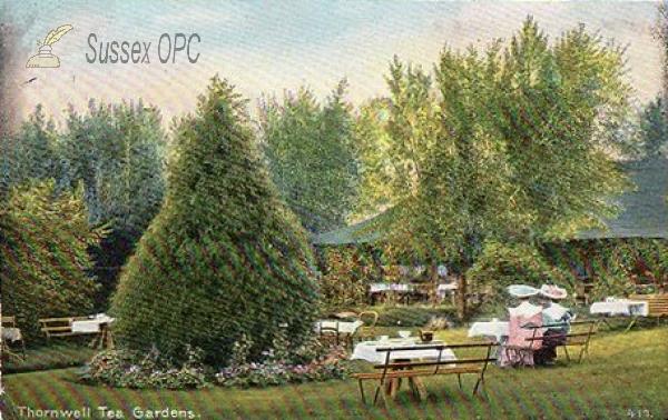 Image of Wilmington - Thornwell Tea Gardens