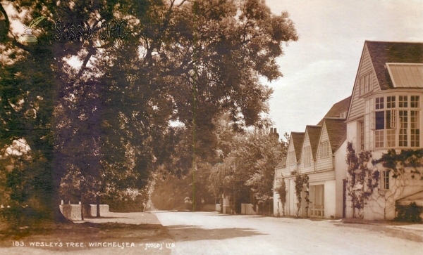 Image of Winchelsea - Wesley's Tree