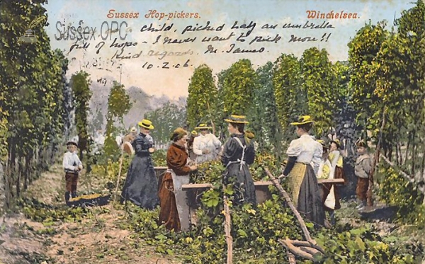 Image of Winchelsea - Hop-pickers
