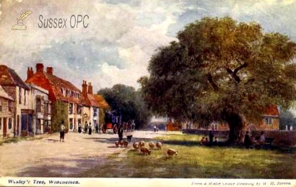 Image of Winchelsea - Wesley's Tree